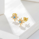 Load image into Gallery viewer, BLUE STAR ΑΣΗΜΕΝΙΑ ΣΚΟΥΛΑΡΙΚΙΑ BESCE0079