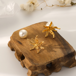 Load image into Gallery viewer, STARFISH ΣΚΟΥΛΑΡΙΚΙΑ ΟΡΕΙΧΑΛΚΟΥ ΜΕ ΜΑΡΓΑΡΙΤΑΡΙΑ BESCE0094