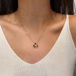 Load image into Gallery viewer, ΑΤΣΑΛΙΝΟ ΚΟΛΙΕ BESCL0297