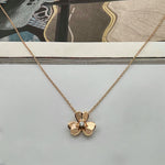 Load image into Gallery viewer, ΑΤΣΑΛΙΝΟ ΚΟΛΙΕ BESCL0297