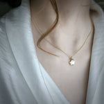 Load image into Gallery viewer, NORTH STAR ΑΣΗΜΕΝΙΟ ΚΟΛΙΕ BESCL0148