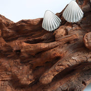 SEASHELL ΑΤΣΑΛΙΝΑ ΣΚΟΥΛΑΡΙΚΙΑ BESCE0116